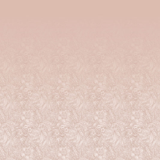 Tangle Ombre Soft Peach