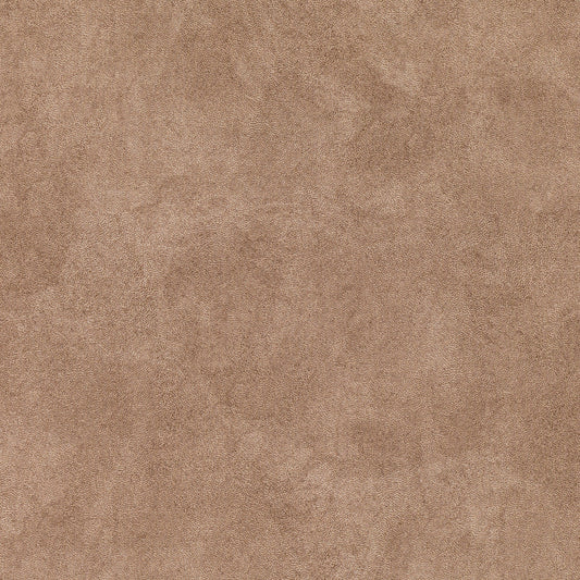 Estella Hazelnut