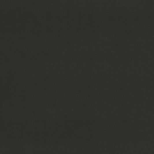 Alya FR (Reversible) Graphite