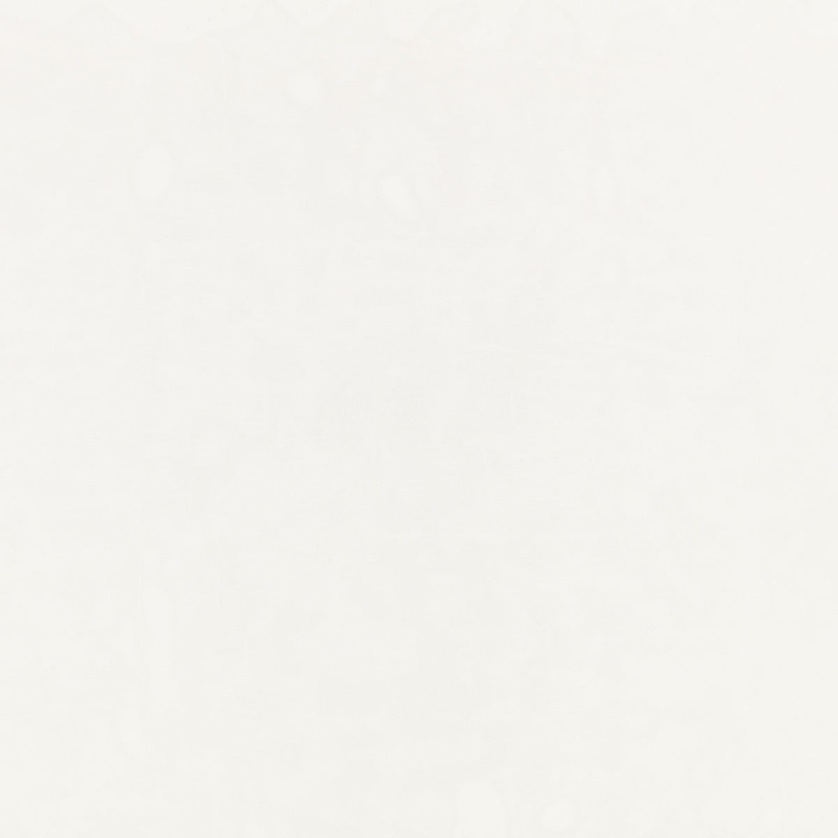 Lucent White