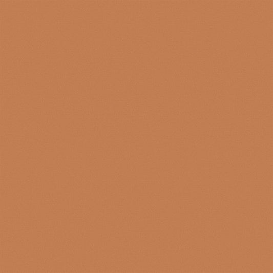 Vescom Bedra 8059.20 Fire Retardant Curtains