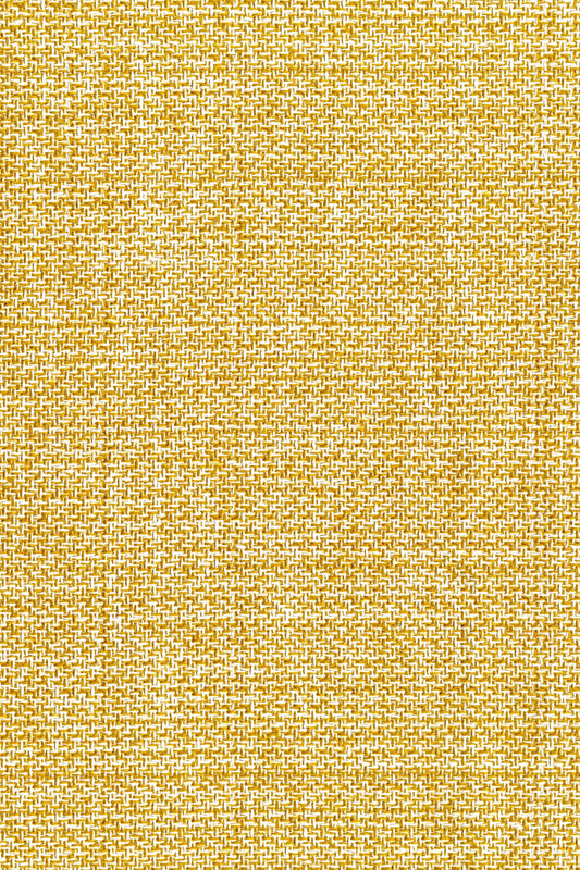 Berg Daffodil