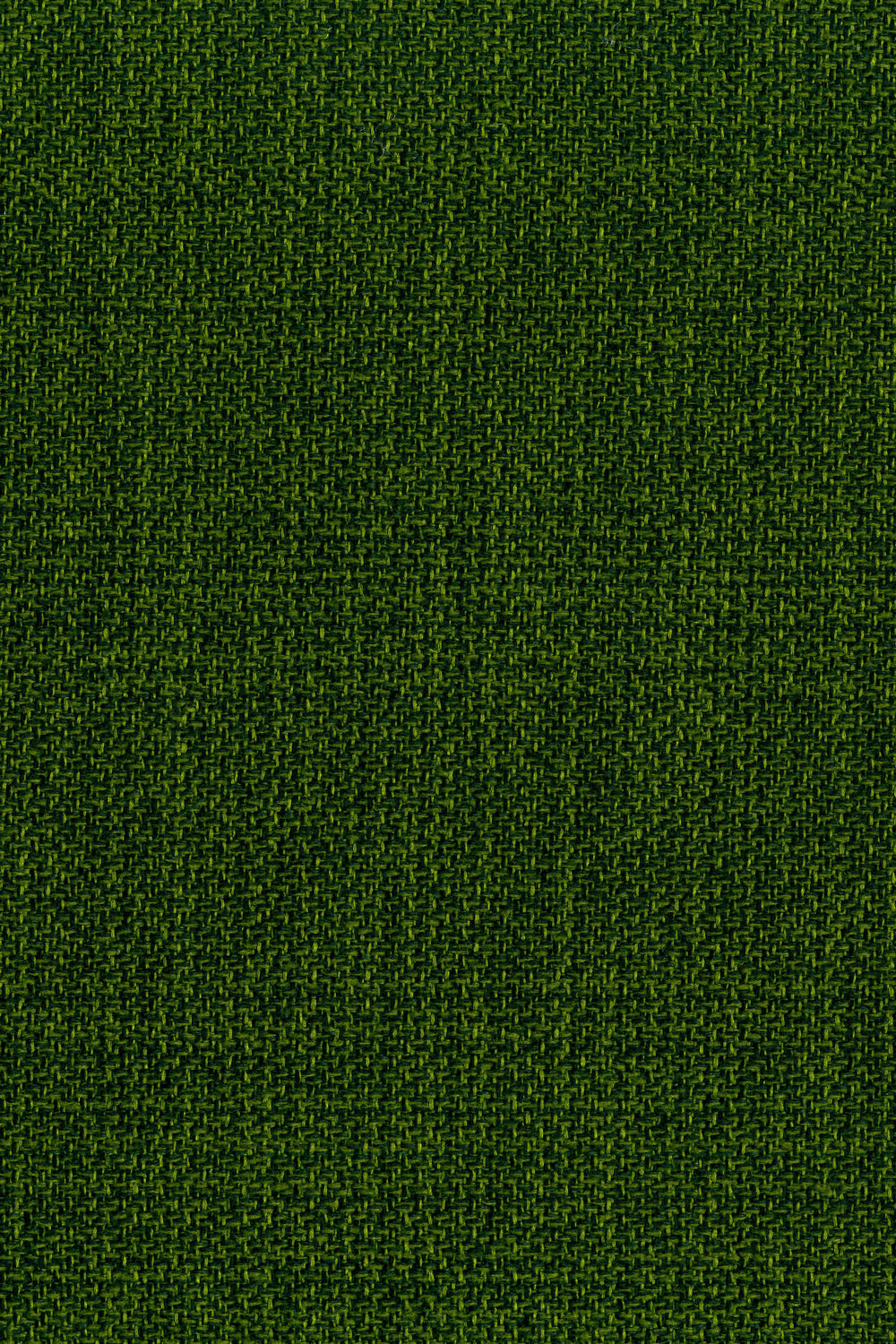 Berg Shamrock