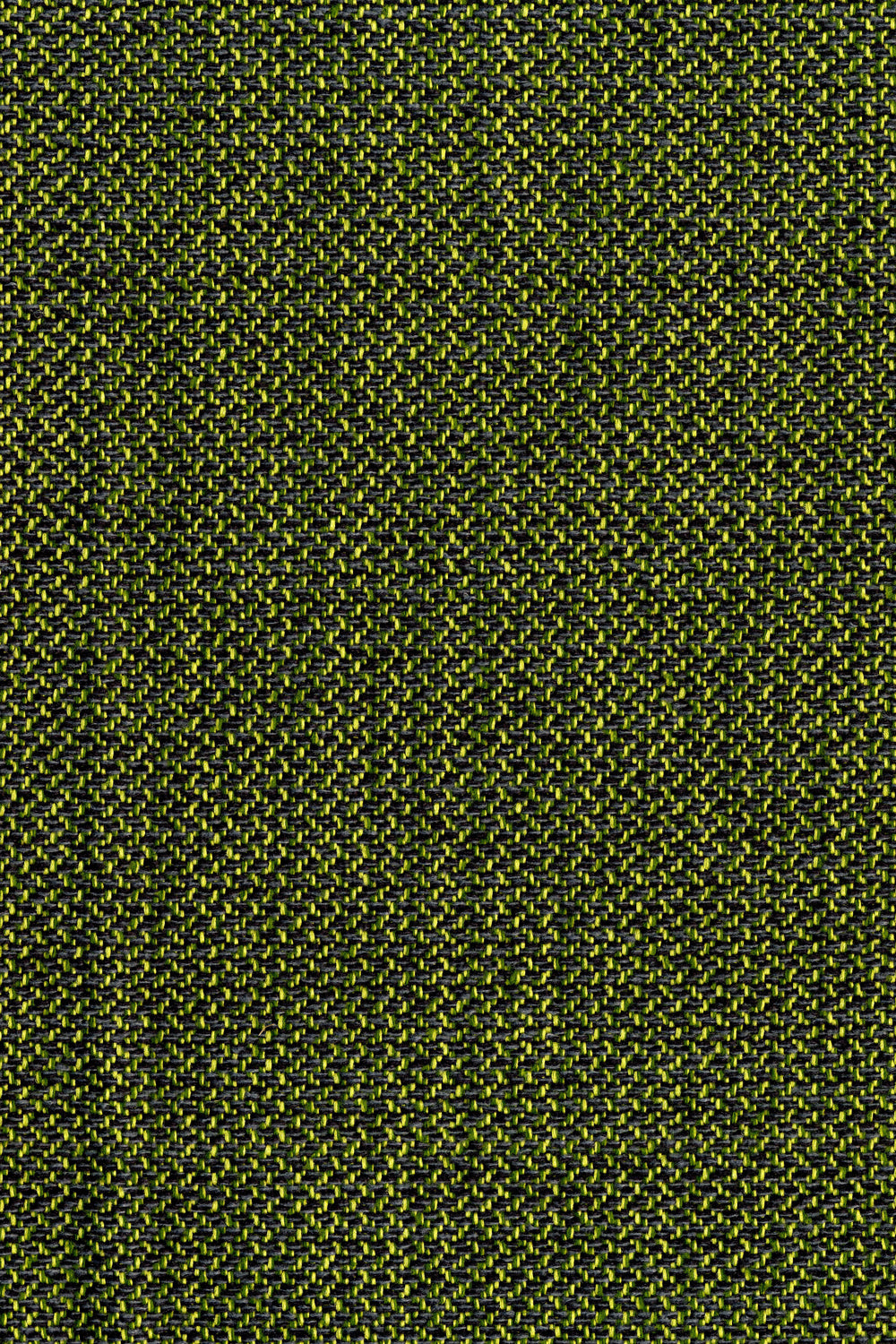 Berg Nettle