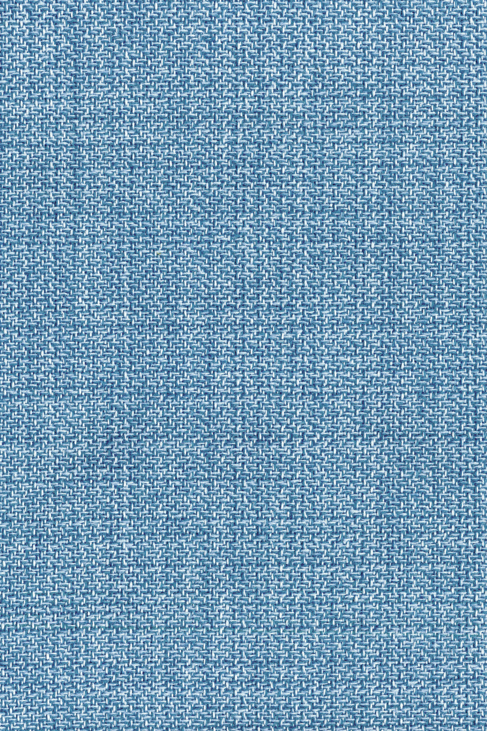 Berg Cornflower