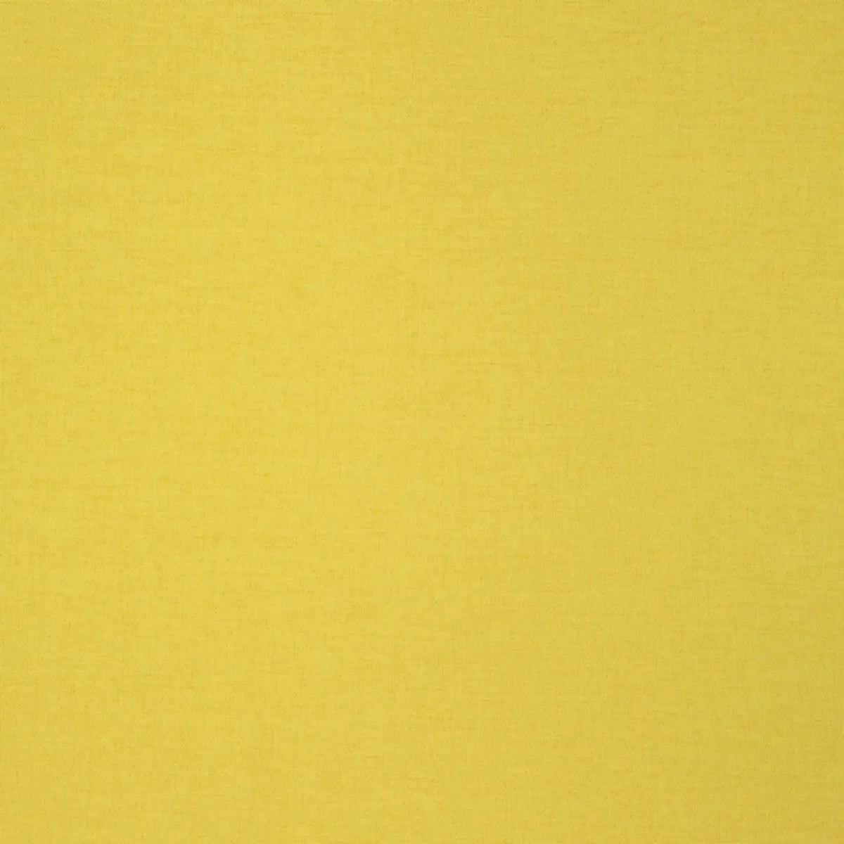 Delius Judy 2550 fire retardant curtain fabric