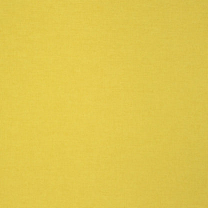 Delius Judy 2550 fire retardant curtain fabric
