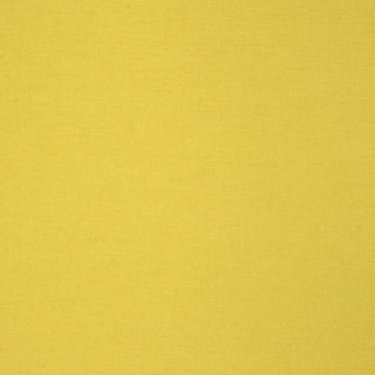 Delius Judy 2550 fire retardant curtain fabric