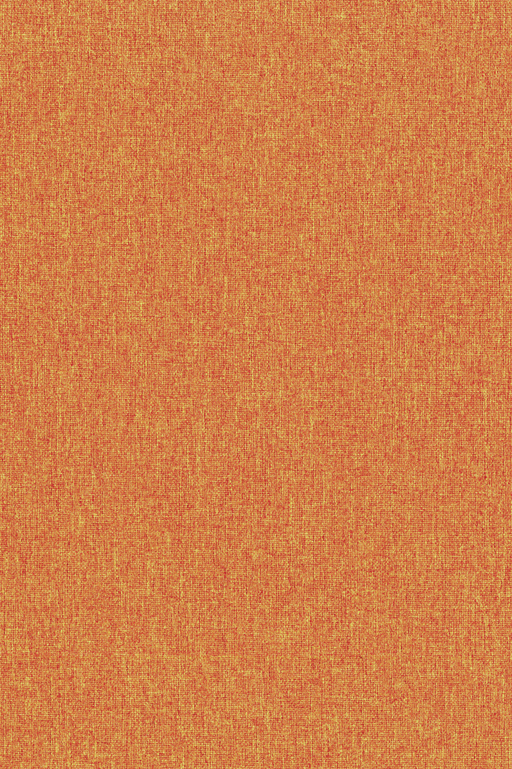 Dala Apricot