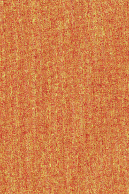 Dala Apricot