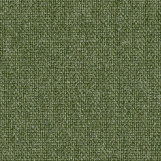 Camira Upland Lichen