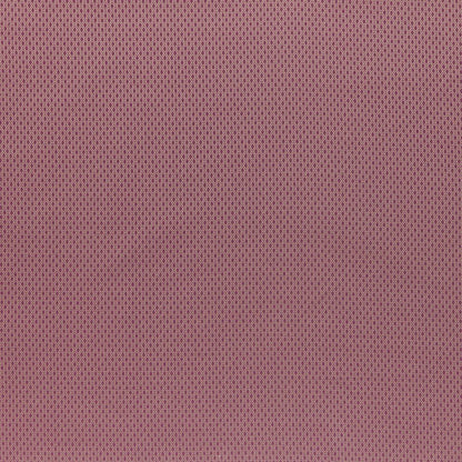 ILIV Ellis Raspberry Fire Retardant Curtains