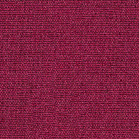 Main Line Plus Claret