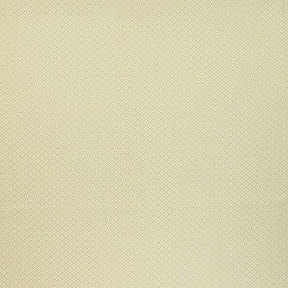 ILIV Asby Pistachio Fire Retardant Curtains