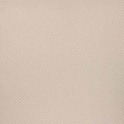 ILIV Asby Taupe Fire Retardant Curtains