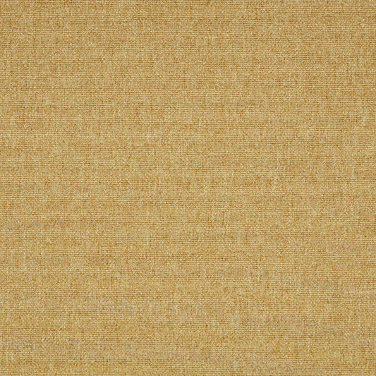 ILIV Tundra Dijon Fire Retardant Curtains