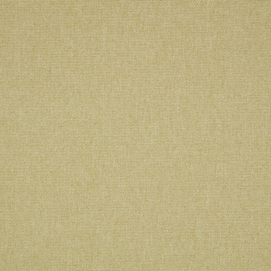 ILIV Tundra Fern Fire Retardant Curtains