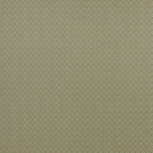 ILIV Johannes Pistachio Fire Retardant Curtains