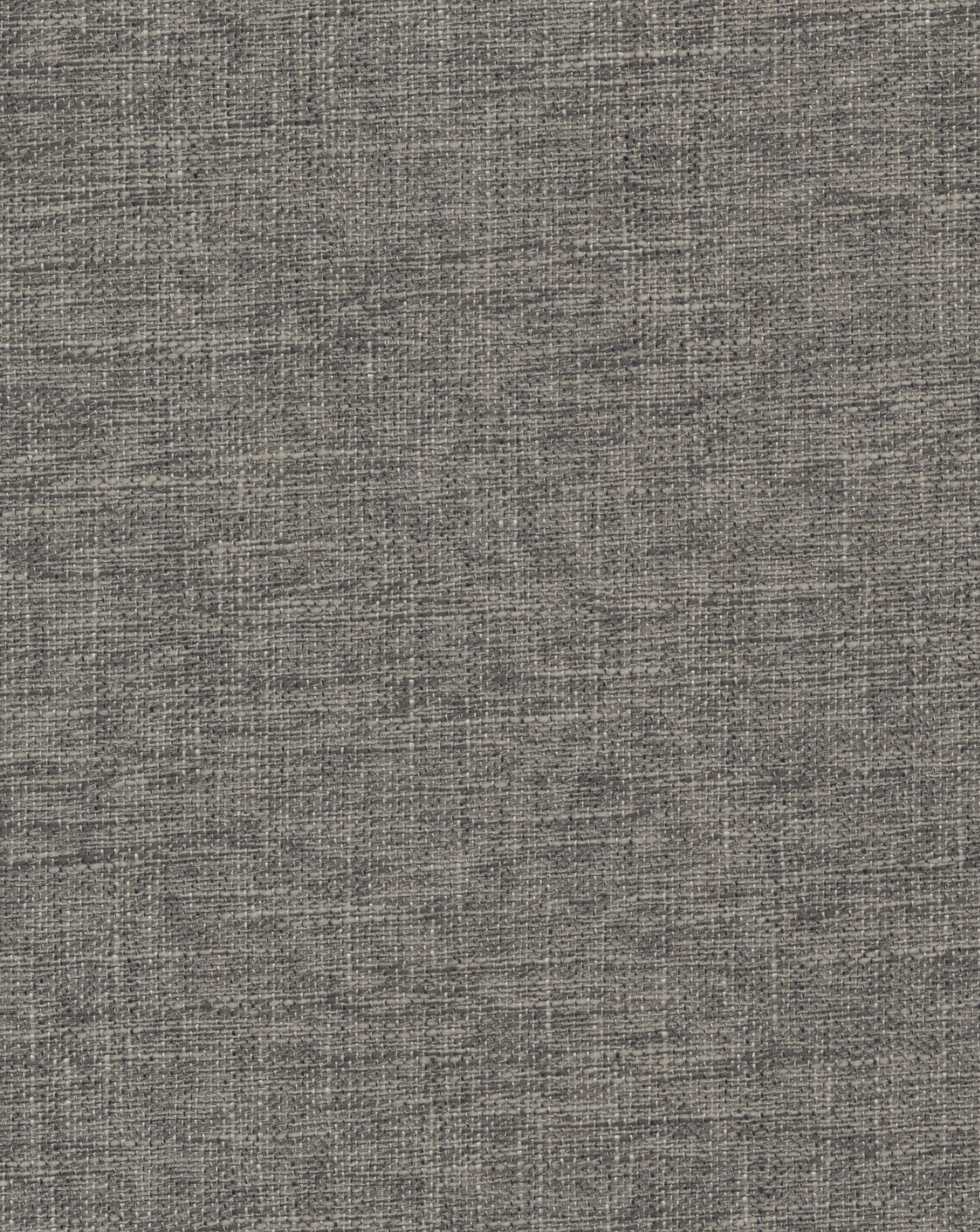 Laon Raccoon