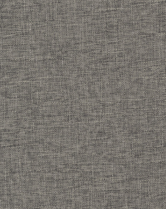 Laon Raccoon