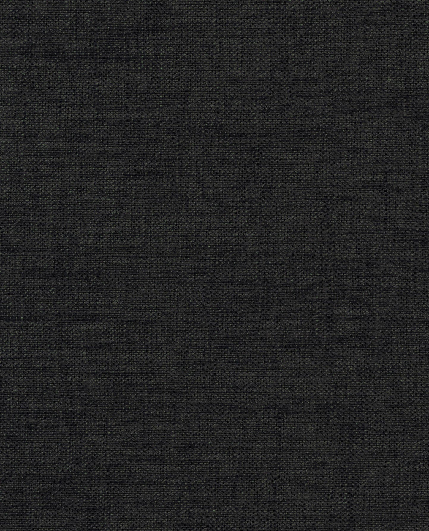 Laon Jackdaw