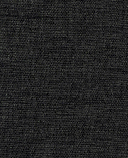 Laon Jackdaw