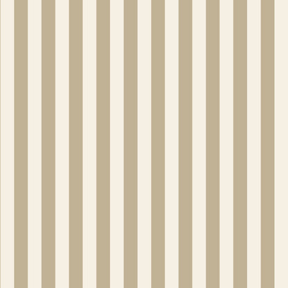 Mallion & Knowles Somerset Stripe Almond Fire Retardant Curtains