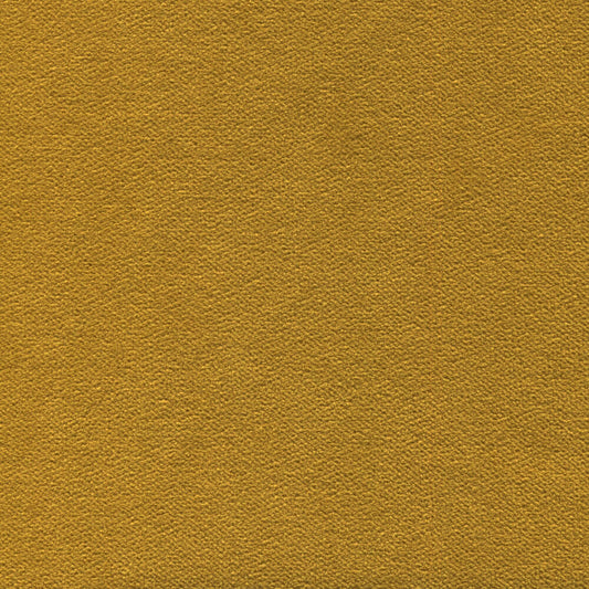 Regent Novella