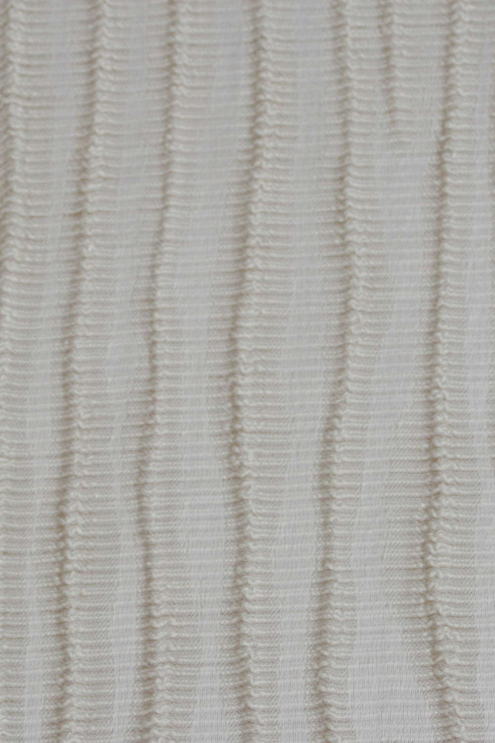 Zebra Ivory
