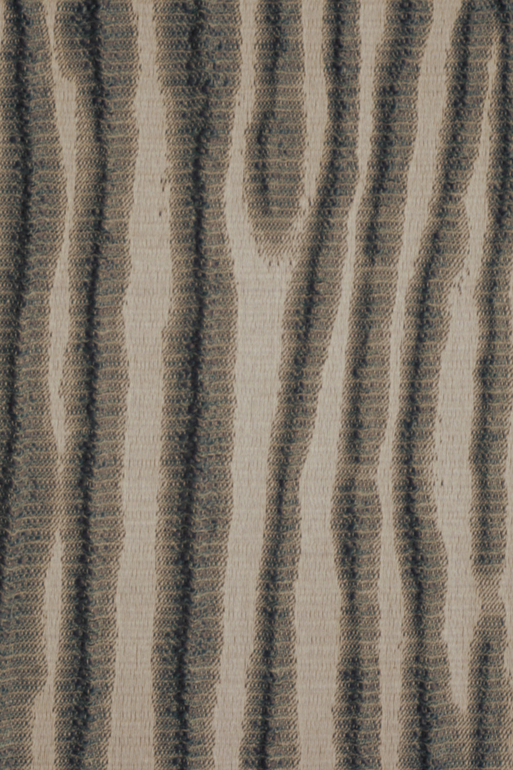Zebra Lemur
